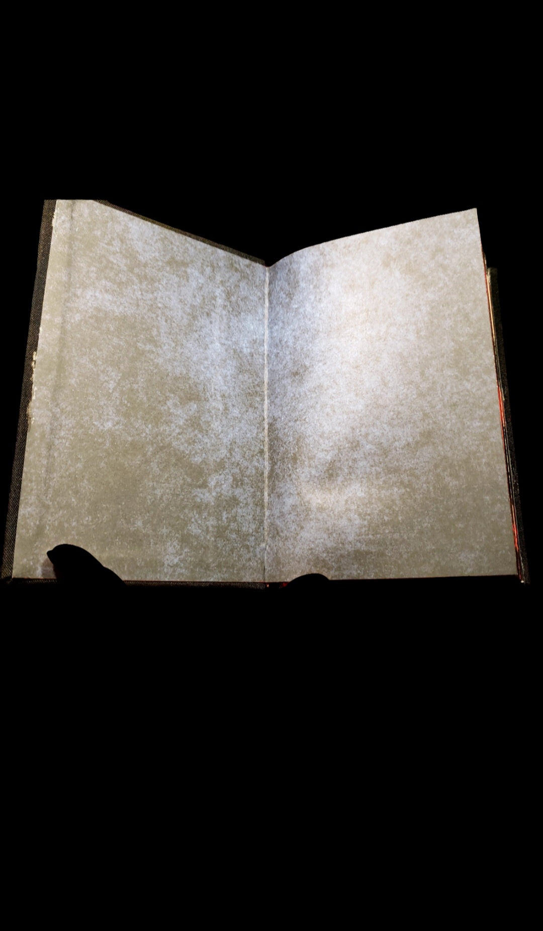 Rebound copy of The Strain Book One