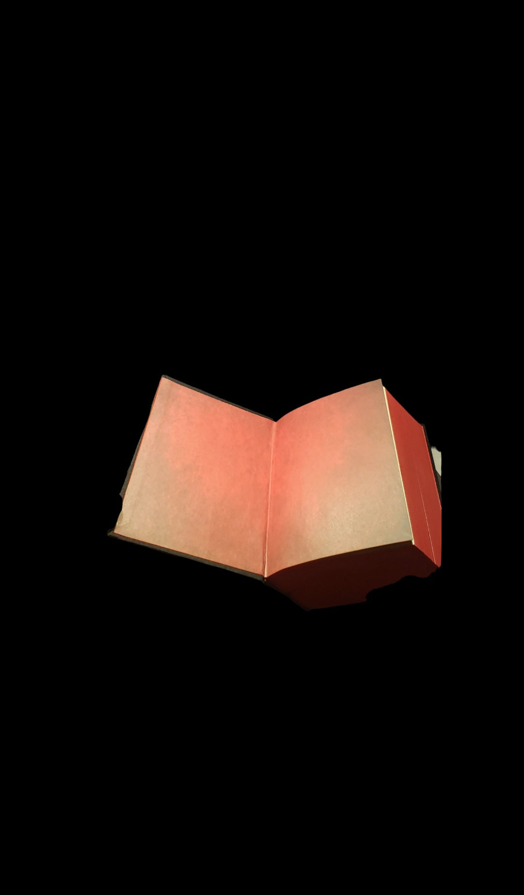 Custom Bonded copy of Stephen King's IT