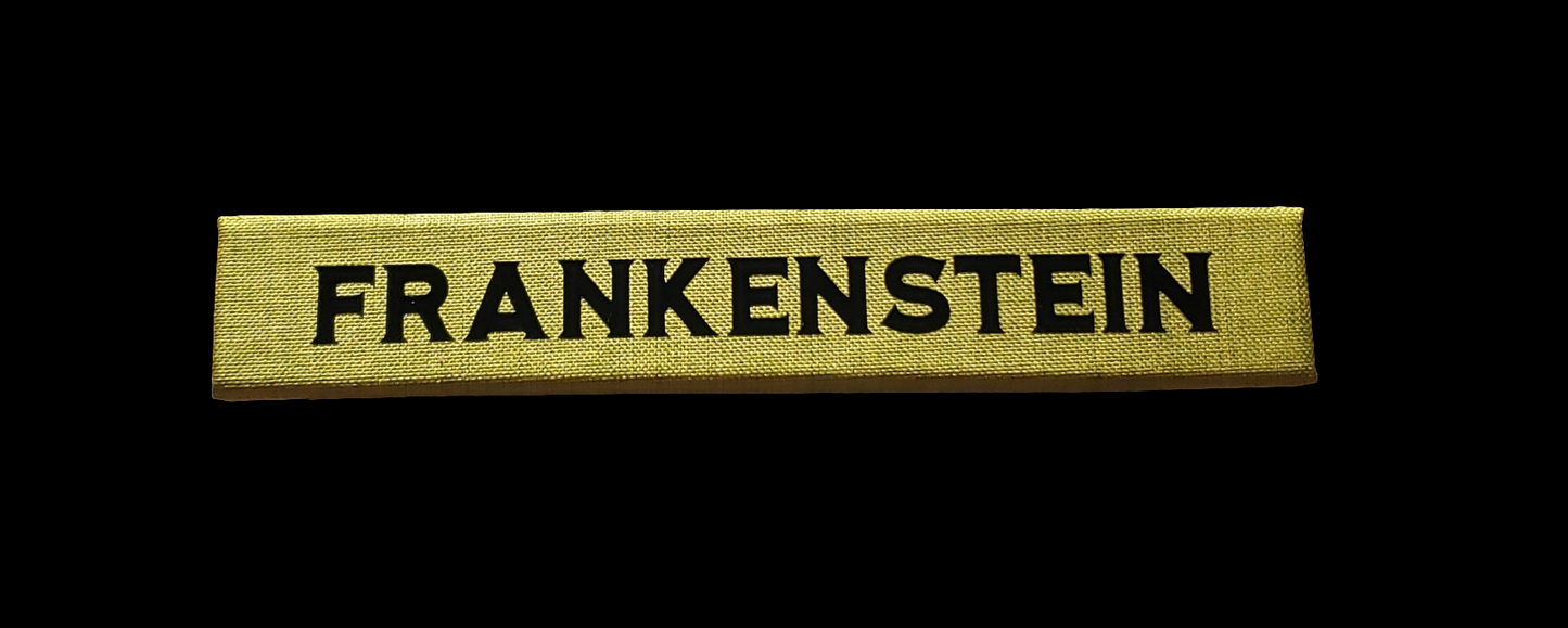 Frankenstein Journal